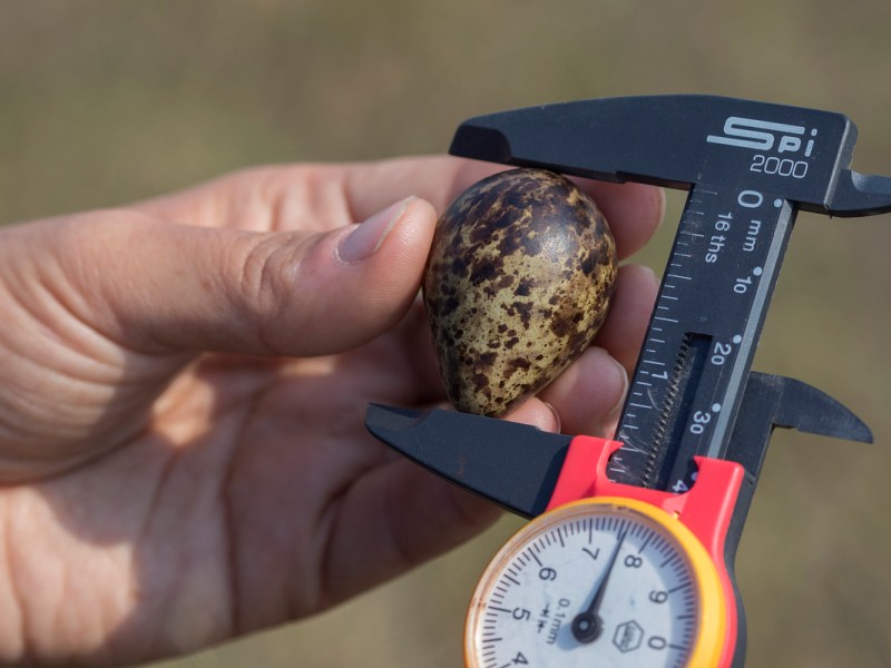 What a time to be&nbsp;alive.